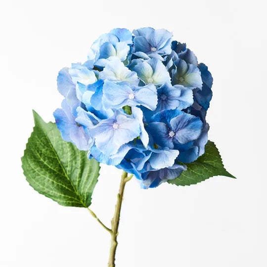 Hydrangea Stem With Leaves 52cm Blue Pack of 12