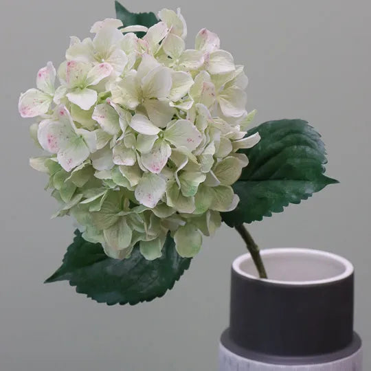 Hydrangea Stem With Leaves 62cm Light Green Pack of 12