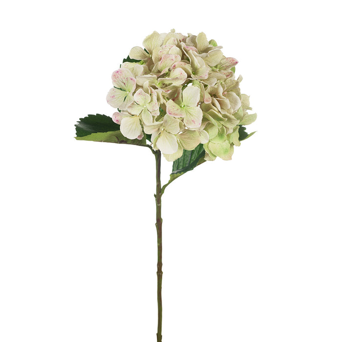 Hydrangea Stem With Leaves 62cm Light Green Pack of 12