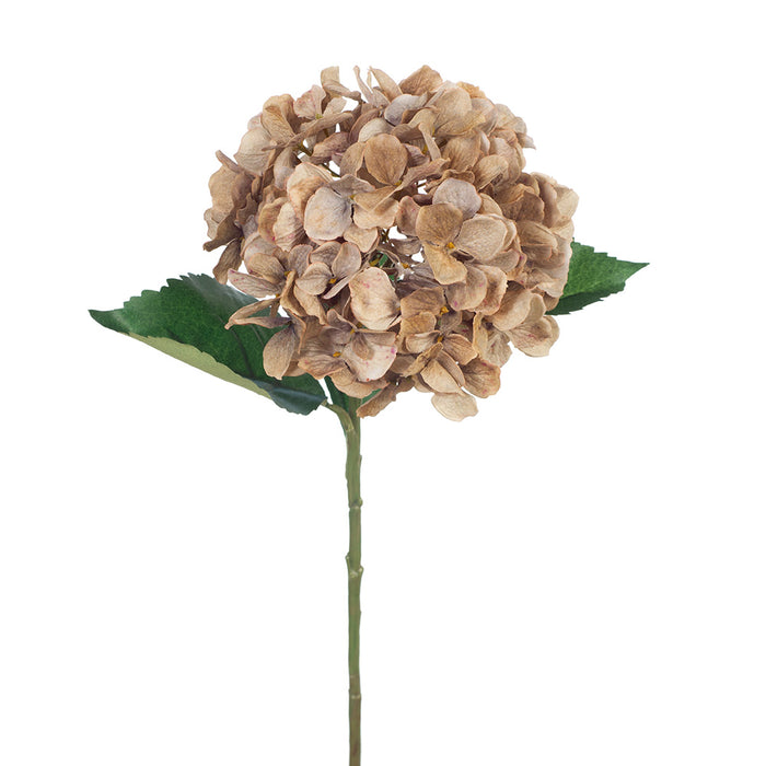 Hydrangea Stem With Leaves 64cm Coffee Brown Pack of 12