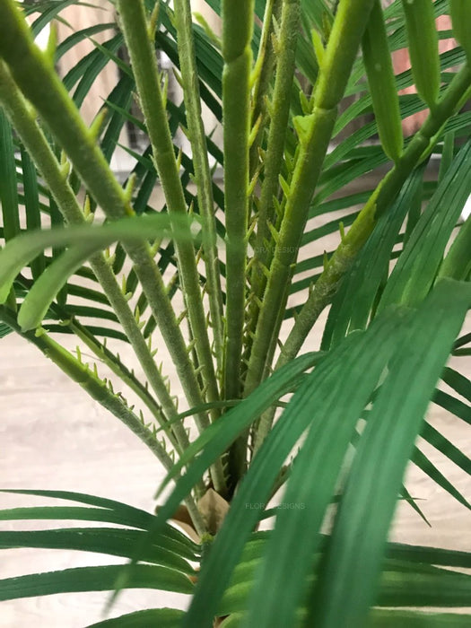 Palm Phoenix Tree Green 210cm Set of 2