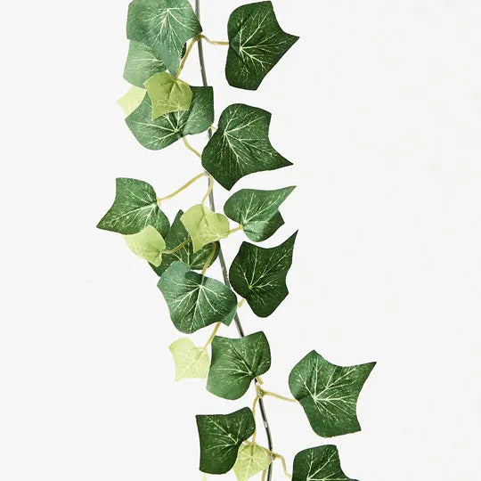 Ivy English Garland-C Green 180cm Pack of 12