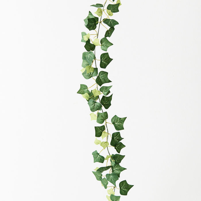 Ivy English Garland-C Green 180cm Pack of 12
