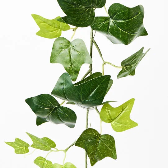 Ivy English Garland-A Green 180cm Pack of 12