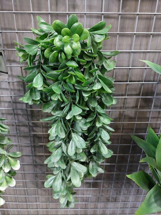 Jade Hanging Bush Grey Green 71cm Pack of 6