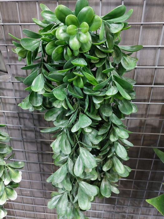 Jade Hanging Bush Grey Green 71cm Pack of 6
