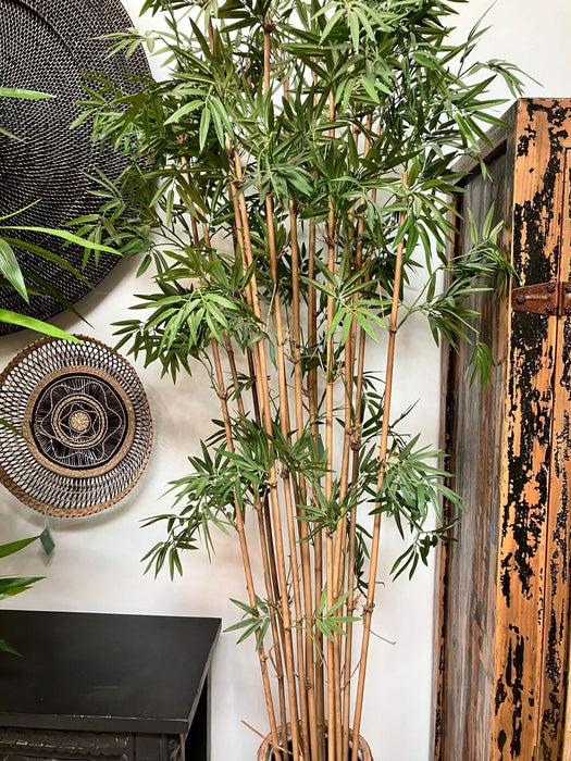 indoor japanese bamboo plant Artificial Japanese Bamboo Tree 190cm — Flora Designs Australia
