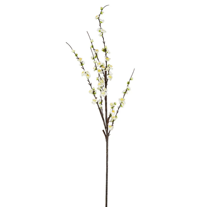 Japonica Blossom Stem White 120cm Pack of 12