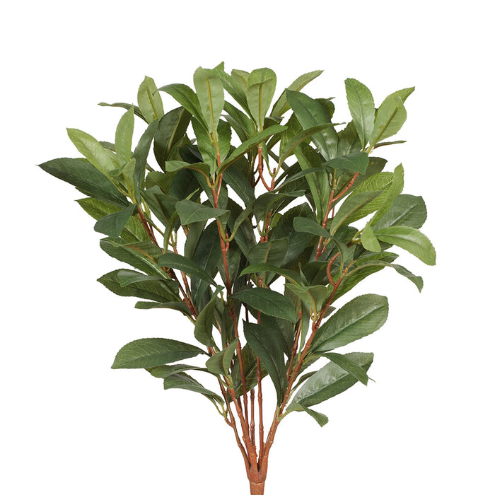 Laurel Leaf Bush Green 51cm Pack of 12