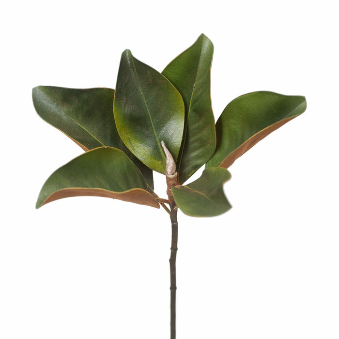 Magnolia Foliage 35cm Green Pack of 12