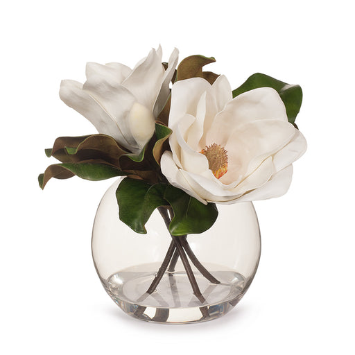 Magnolia Grandiflora in Ball Vase - White - 33cm