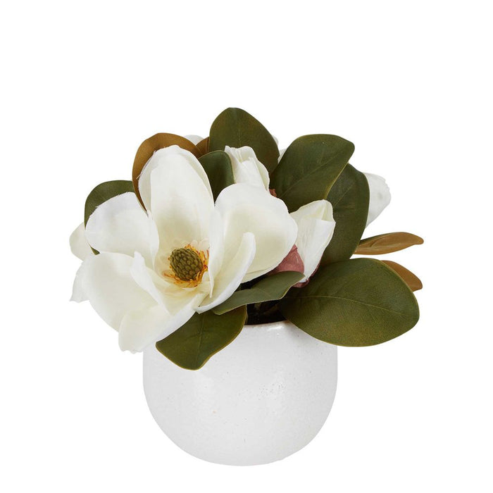 Magnolia Flower In Ceramic Pot White 28cm Set of 2