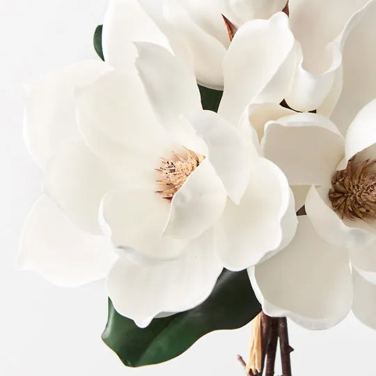 Magnolia Japanese Bouquet 35cm White Pack of 6