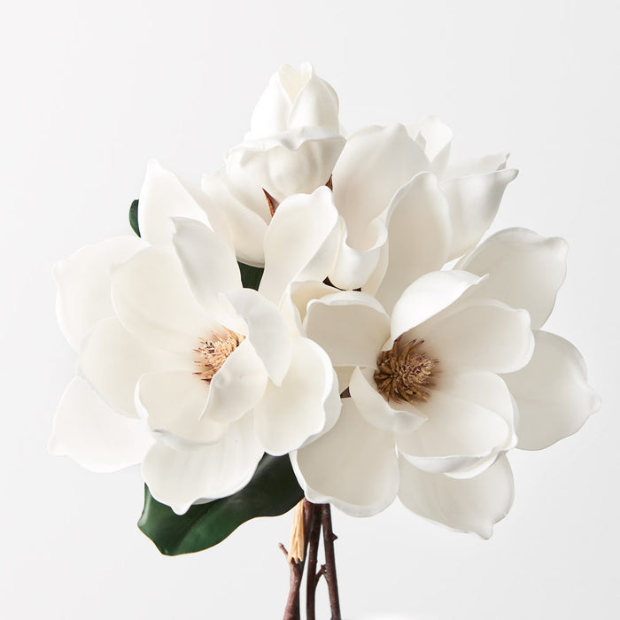 Magnolia Japanese Bouquet 35cm White Pack of 6