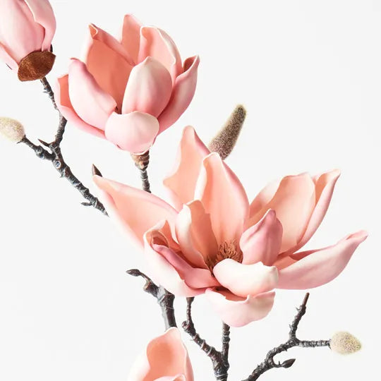 Magnolia Japanese Spray 100cm Pink Pack of 12