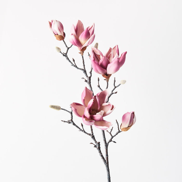 Magnolia Japanese Spray 100cm Plum Red Pack of 12