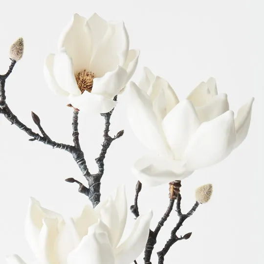 Magnolia Japanese Spray 100cm White Pack of 12