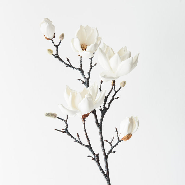 Magnolia Japanese Spray 100cm White Pack of 12