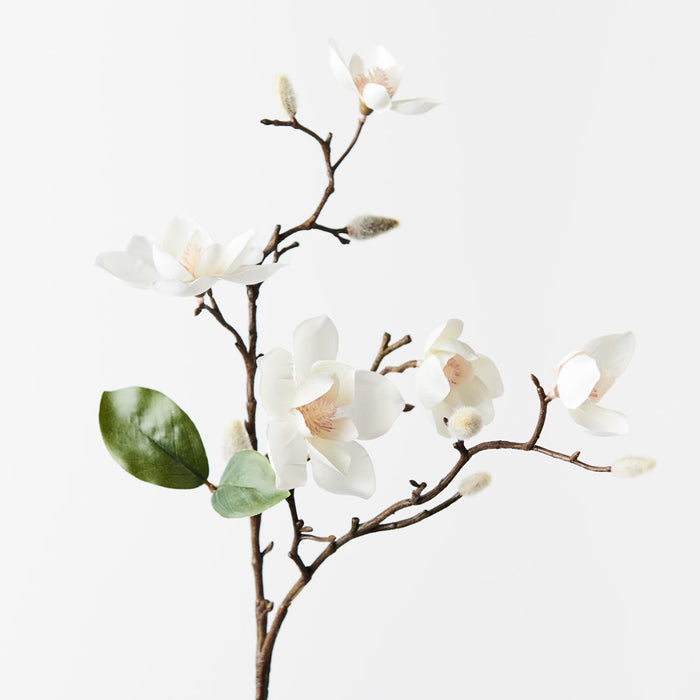 Magnolia Japanese Spray 66cm White Pack of 12