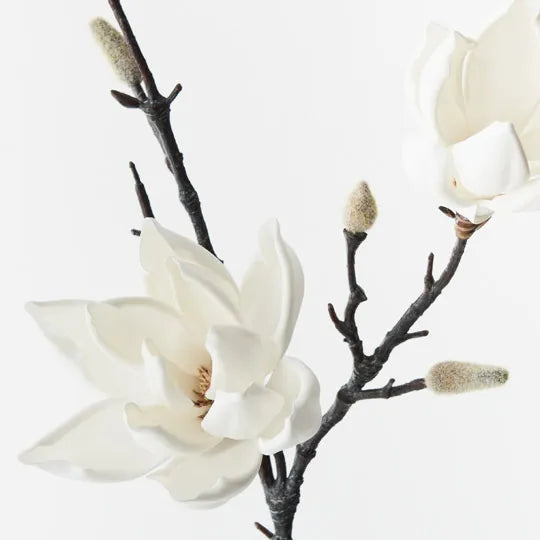 Magnolia Japanese Spray 79cm White Pack of 12