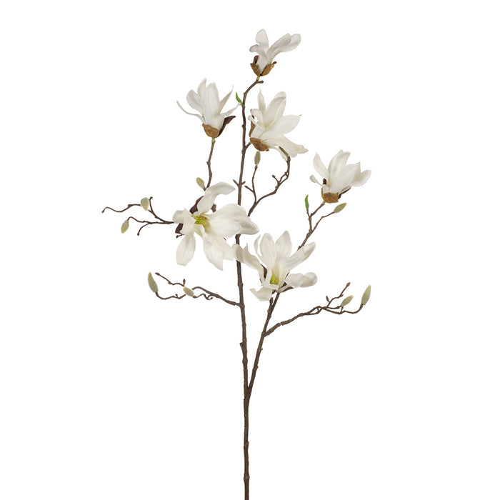 Magnolia Japanese Spray White 95cm Pack of 12