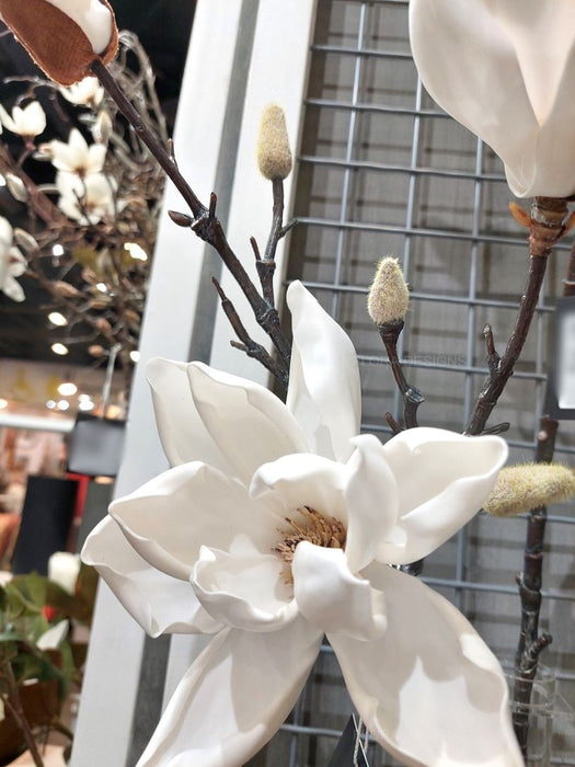 Magnolia Japanese Spray 100cm White Pack of 12