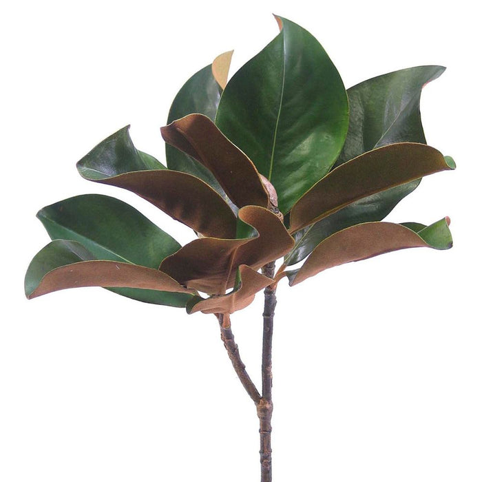 Magnolia Leaf Spray 60cm Pack of 6