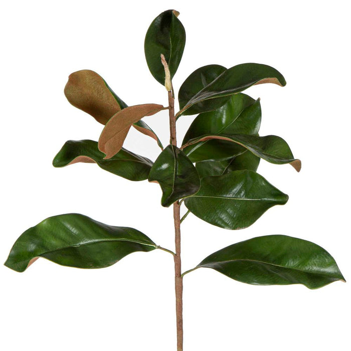 Magnolia Leaves 85cm Green Pack of 8