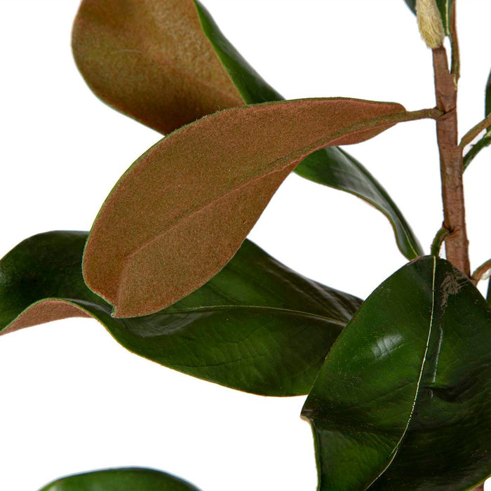 Magnolia Leaves 85cm Green Pack of 8