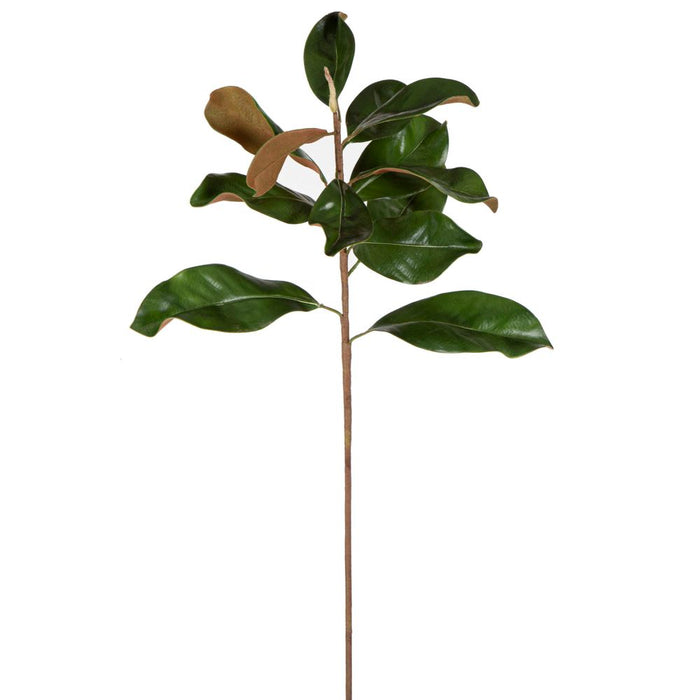 Magnolia Leaves 85cm Green Pack of 8