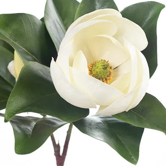 Magnolia Spray 80cm White Pack of 12