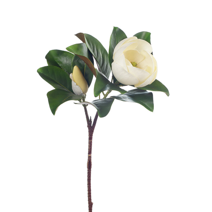 Magnolia Spray 80cm White Pack of 12