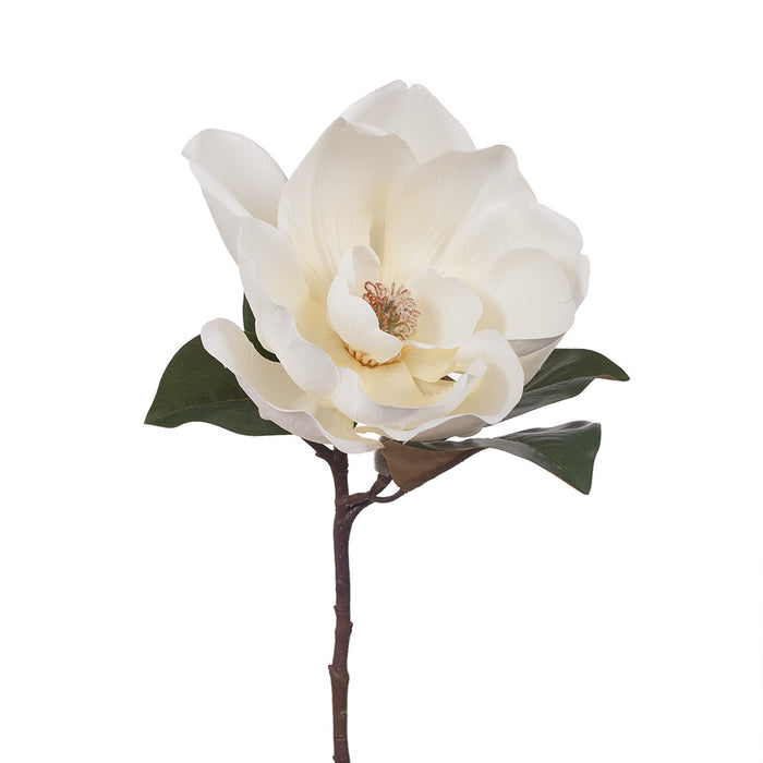 Magnolia Stem 50cm White Pack of 12