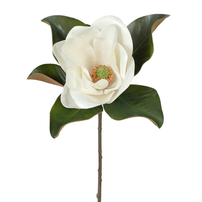 Magnolia Stem 74cm White Pack of 6