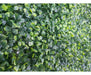 Mixed Boxwood Hedge Panels / Screens UV Resistant 1m x 1m
