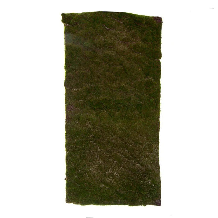 Moss Mat Large 100cm x 50cm Green Pack of 2