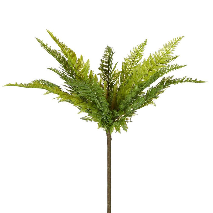 Native Fern Green Pack of 12