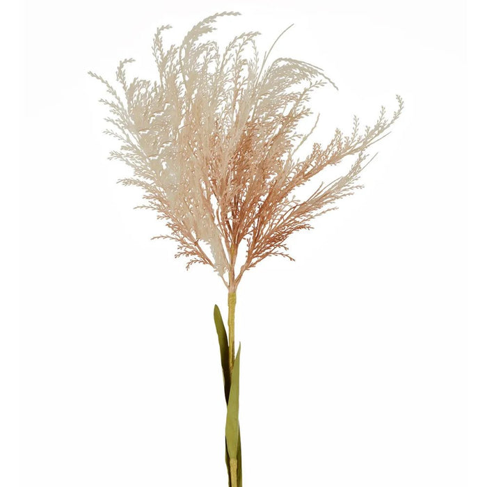Natural Pampas Spray Stem With Leaves Pack of 12