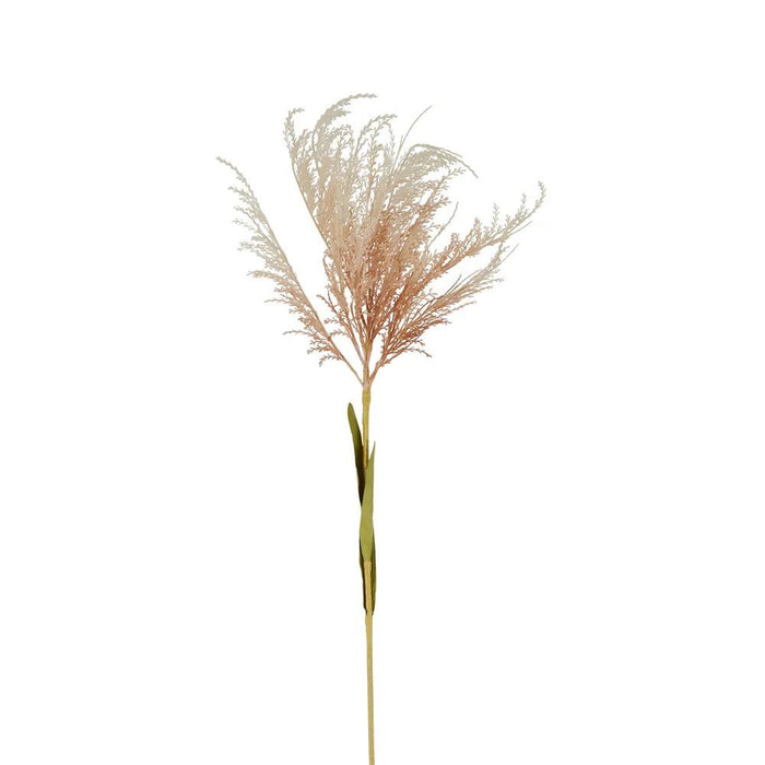 Natural Pampas Spray Stem With Leaves Pack of 12