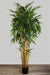 New Bamboo Tree 220cm