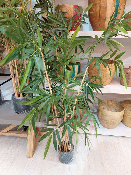 New Bamboo Tree Budget 160cm