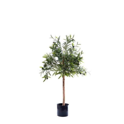 Olive Greeb Topping Tree 70cm
