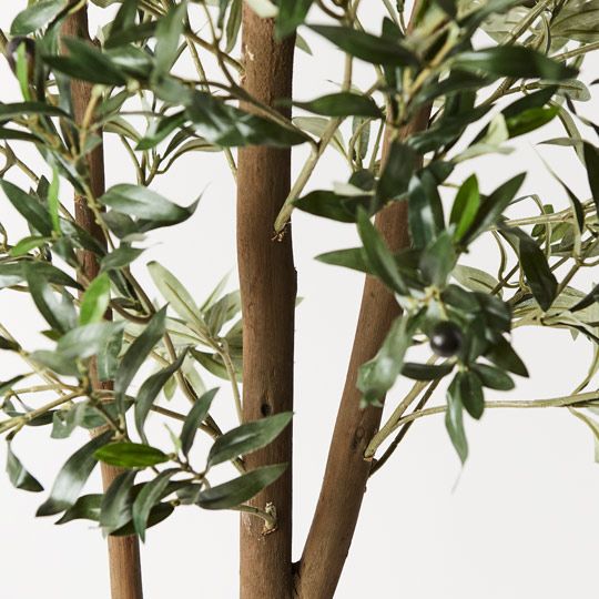Olive Tree Green 180cm Style B Pack of 2