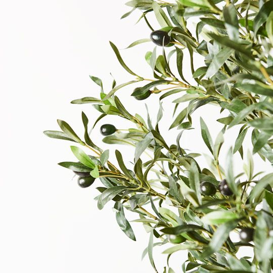 Olive Tree Green 200cm Pack of 2
