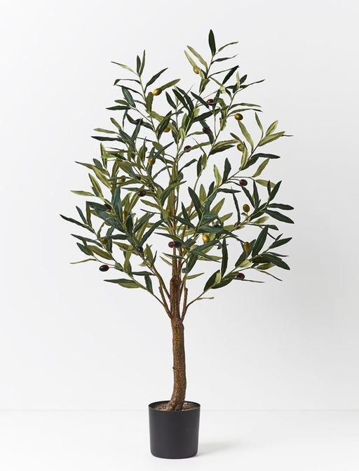 Olive Tree Pack of 2 91cm