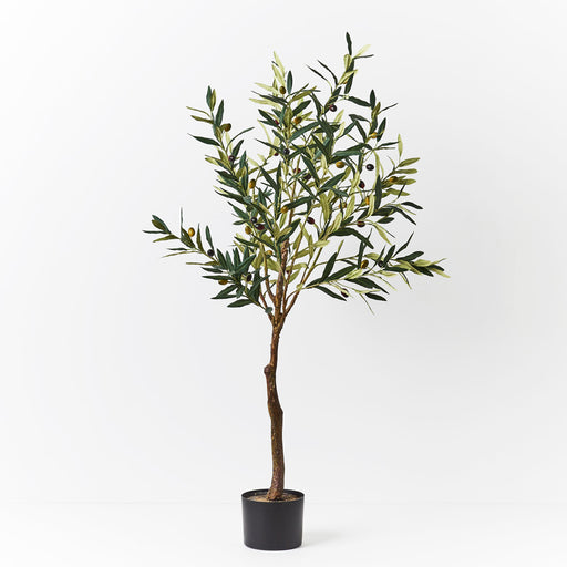 Olive Tree Pack of 2 122cm