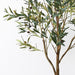 Olive Tree Pack of 2 213cm