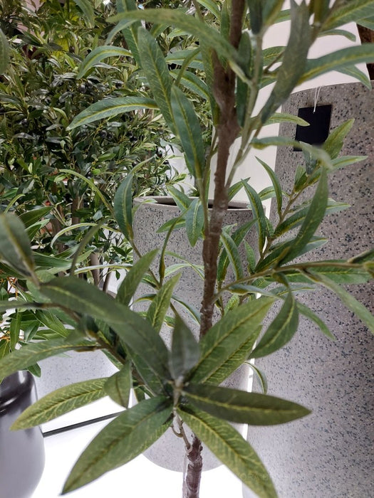 Olive Tree Grey Green 110cm Pack of 2