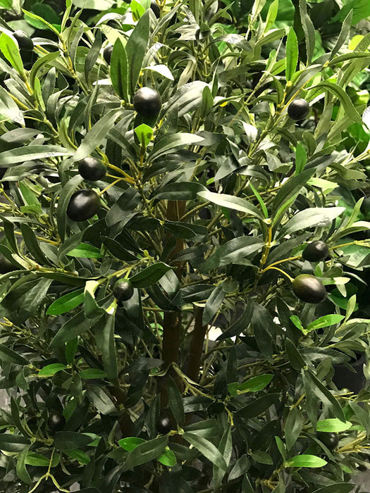 Olive Tree Green 150cm Style B Pack of 2