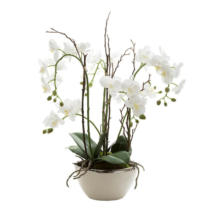 Orchid Real Touch In White Pot With Silver Rim 60cm